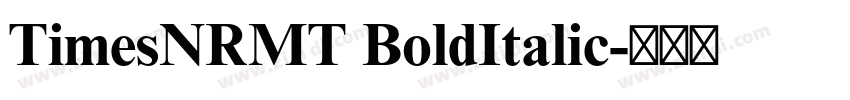 TimesNRMT BoldItalic字体转换